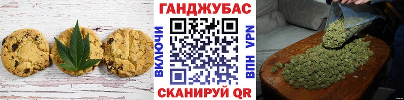 где купить наркоту  Шенкурск  Cannafood конопля 