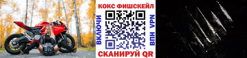 Кокаин 98%  сколько стоит  Шенкурск 