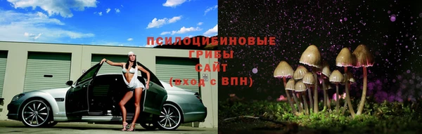 крисы Абинск